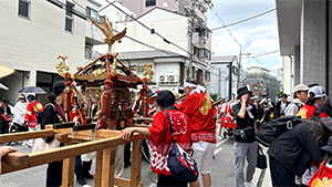 �n��v������